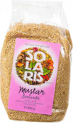 Solaris Plant Senfsaat 300g