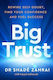 Big Trust: Rewire Self-doubt, Find Your Confidence And Fuel Success Philip Faysal Sekkouah Vermilion