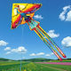 Kite with Twine 220x410cm 1 Piece