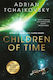 Children Of Time - Pan Macmillan - Paperback / Softback