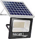 Alista Home Solar Light 100W with Motion Sensor and Remote Control IP67 22x27cm