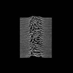 Joy Division Unknown Pleasures 2 Cd