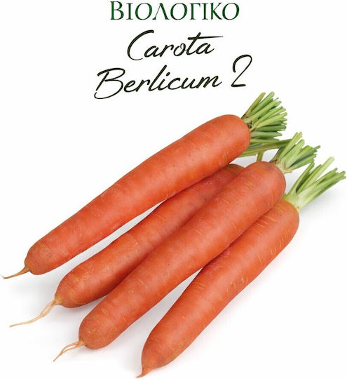 Hortus Sementi Semințe De Morcov Organic Portocalii 4gr