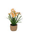 Small Wicker Pot Yellow Daisies D:10d 30h Cm K:92929