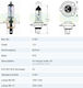Trifa Car and Motorcycle Lamp H4 Xenon White 12V