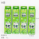 Set 12 Black Pencils Alista Home 2b School Students Eraser Green Panda Model