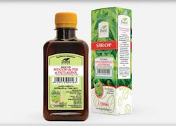 Dorel Plant Pine Bud & Plantain Σιρόπι 200ml