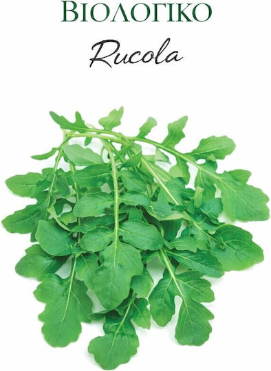 Hortus Sementi Seminte Rucola Eruca Sativa De Cultura Organică 9gr