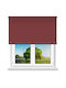 Elite Blinds Roller Blinds 321007 Total Blackout Red Width 100cm Height 100cm
