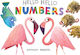 Hello Hello Numere
