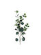Gisela Graham Artificial Decorative Green Eucalyptus Branch 95 Cm