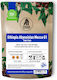 Coffee Espresso Ethiopia Abyssinian Mocca G1 250g Beans
