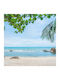 Elite Blinds Roller Blinds 585087 Partial Blackout P100xH100cm MHB-3371-100x100