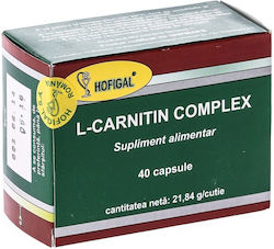 Hofigal L-Carnitine Complex 500mg 40 κάψουλες