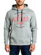 Hooded Gray Sweatshirt