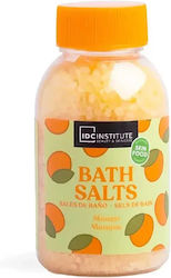 Idc Institute Skinfood Bath Salts Mango Άλατα Μπάνιου Μάνγκο 175gr Idc Institute Skinfood Bath Salts Mango Άλατα Μπάνιου Μάνγκο 175gr