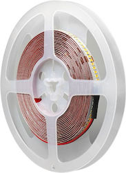 Modee Lighting Ταινία LED 24V Φυσικό Λευκό 5m Modee Lighting Ταινία LED 24V Φυσικό Λευκό 5m