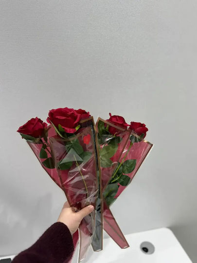 An Impressive Long Red Rose