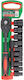 Rockforce Sockets with 1/2" Frame Host Set 12 Pieces