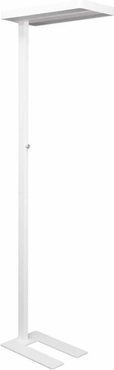 Maul LED Lampadar de Podea Alb