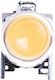 Control Button 22mm Yellow Self-return 1z Xb4bp51