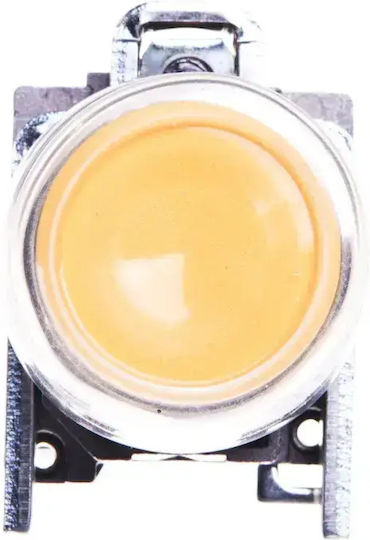 Control Button 22mm Yellow Self-return 1z Xb4bp51