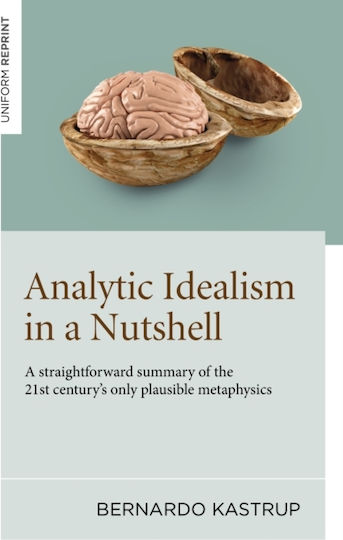 Analytic Idealism In A Nutshell - Collective Ink - Paperback / Softback