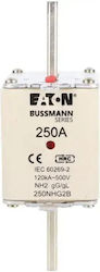 Fuse Insert Nh2 250a Gl Gg 500v 250nhg2b