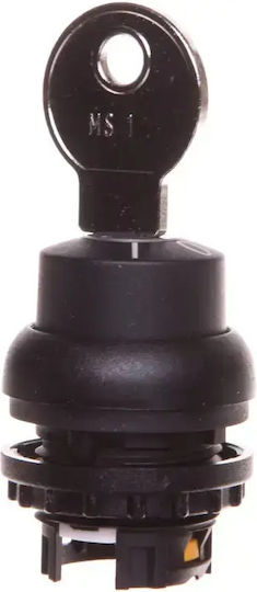 Switch Drive 2 Switch Self-return Key M22s-ws 216882