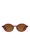 Chpo Unisex Sunglasses With Brown Frame And Brown Lens 16135MB