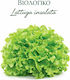 Hortus Sementi Semințe Salată Verde Iceberg Organic 3.5gr HOERBIO008