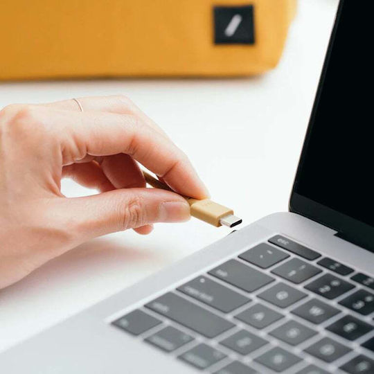 Native Union USB 2.0 Cable USB-C male - USB-C 240W PD Πράσινο 3m