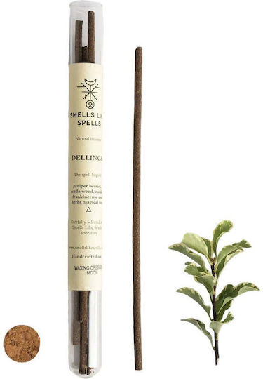 Smells Like Spells Parfumuri Sticks Cu Miros De Lemn De Santal 5 Bucăți