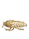 Silver Brooch Zircon Beetle 925