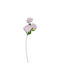 Florista Ντάλια Ανοιχτό Ροζ Ροζ Ύψος 72 Cm