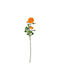 Florista Νεραγκούλα 63cm Πορτοκαλί Πορτοκαλί