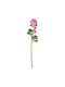Florista Νεραγκούλα 63cm Ροζ Ροζ