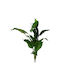 Alocasia Pflanze X18 Grün 65cm Künstlich