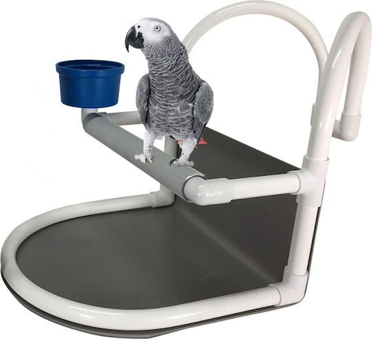 Car Seat Birds Kingdom-auto Stand Walk Parrot