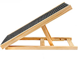 Folding Ramp