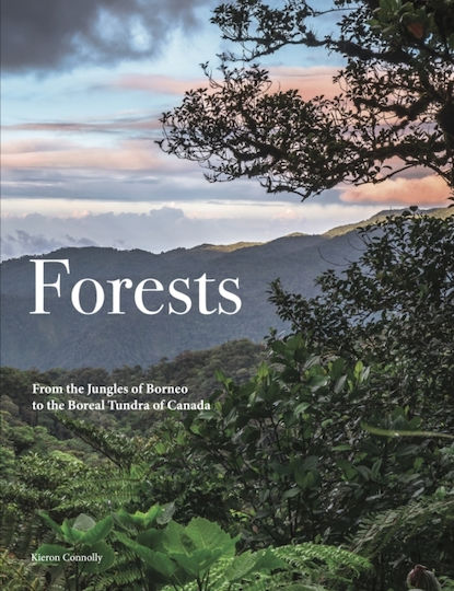 Forests - Amber Books Ltd - Hardback