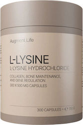Augment Life L-lysine 500mg 300 Κάψουλες Augment Life L-lysine 500mg 300 Κάψουλες