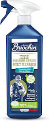 Briochin Почистващ Спрей За Обща Употреба 750ml