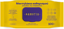 Agnotis Μαντηλάκια Καθαρισμού Γενικής Χρήσης 100 τμχ