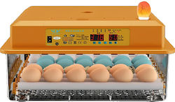 Automatic Egg Incubator 36 Eggs