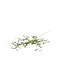 Olive Branch H90cm