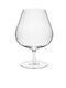 Rockwell Razors Pahar Cocteil din Sticlă 530ml