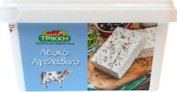 Τρίκκη Λευκό Αγελαδινό Σε Άλμη 400gr Τρίκκη Λευκό Αγελαδινό Σε Άλμη 400gr