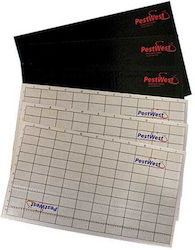 Protecta I-trap Παγίδα με Κολλητική Επιφάνεια 6τμχ