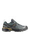 Salomon X Ultra 360 Gtx Men's Hiking Shoes Waterproof with Gore-Tex Membrane Blue